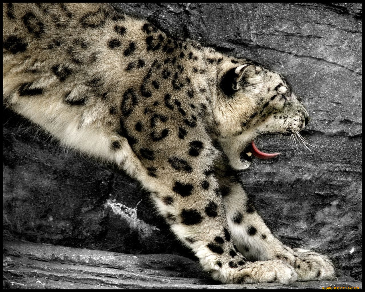 , , , 